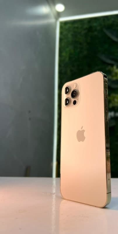 iPhone 12 Pro - صورة 1