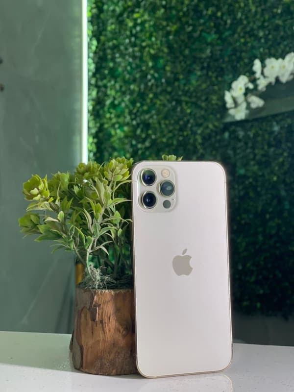 iPhone 12 Pro - صورة 1