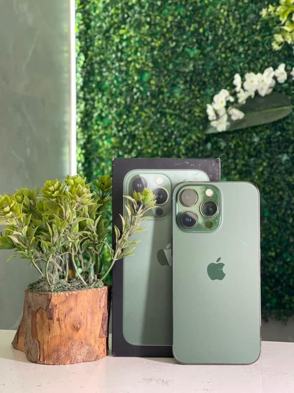 iPhone 13 Pro - صورة 1